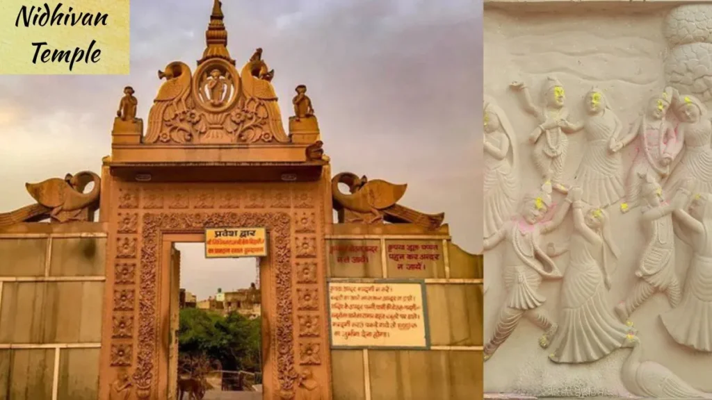 Nidhivan Temple